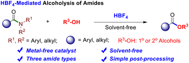 Graphical abstract: HBF4-mediated direct alcoholysis of amides under mild conditions