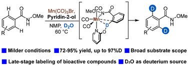 Graphical abstract: 2-Pyridone-enabled manganese-catalyzed ortho-selective deuteration of aromatic amides with D2O