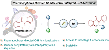 Graphical abstract: Rhodaelectro-catalyzed C–H activations directed by pharmacophores: enabling modification of bioactive compounds