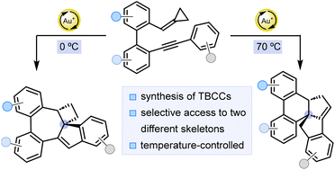 Graphical abstract: Divergent synthesis of two polycyclic frameworks containing tricyclic bridgehead carbon centers by gold-catalyzed cycloisomerization of o-cyclopropylidenemethyl-o′-alkynylbiaryls