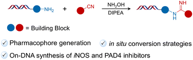 Graphical abstract: DNA-compatible synthesis of amidine pharmacophores via late-stage amine modification