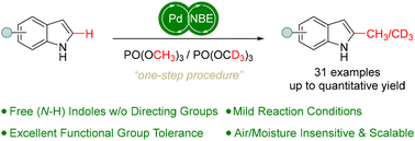 Graphical abstract: Regioselective one-step C2–H methylation of free (N–H) indoles enabled by Pd(ii)/norbornene cooperative catalysis