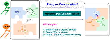 Graphical abstract: Theoretical insights into the mechanism and selectivities of rhodium/amine dual catalysis in alkyne–cyclopropene reassembly reactions