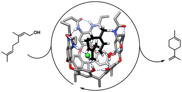 Graphical abstract: Terpene cyclization catalysis with a functional cavitand: driving selectivity through precise molecular recognition