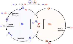 Graphical abstract: Synergistic Ni/Co catalysis in C(sp2)–C(sp3) reductive coupling: a DFT study