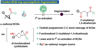 Graphical abstract: Lewis acid catalyzed tandem difunctionalization/fragmentation reactions of bicyclobutanes: access to 2-vinylidenyl 1,4-dicarbonyl compounds