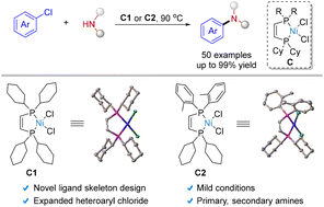 Graphical abstract: cis-Diphosphine ethene ligands enable Ni-catalyzed amination of aryl chlorides