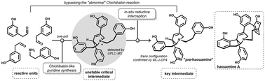 Graphical abstract: Bypassing the abnormal Chichibabin reaction dead-end provides a biomimetic access to pre-haouamine
