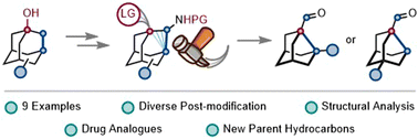 Graphical abstract: Synthesis of noradamantane building blocks