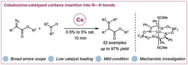 Graphical abstract: Cobaloxime catalyzed carbene insertion into N–H bonds: a streamlined route to α-amino esters with mechanistic insights