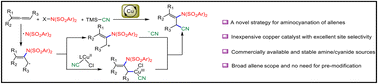 Graphical abstract: Copper-catalyzed radical aminocyanation of allenes