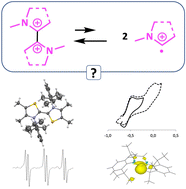 Graphical abstract: Are N-heterocyclic carbene radical cations relevant intermediates in radical transformations?