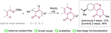 Graphical abstract: Rh(iii)-catalyzed C–H [4 + 2] annulation of oximes with (hetero)cyclic iodonium ylides to access pyrano[4,3-b]pyridin-5-one derivatives