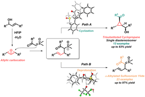 Graphical abstract: Reactions of ketosulfoxonium ylides with allylic carbocations: stereoselective and direct access to highly-substituted cyclo-propanes and α-alkylated ylides