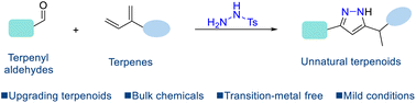Graphical abstract: Bridging terpenyl aldehydes and terpenes with hydrazine