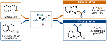 Graphical abstract: Direct alkylation of quinolines with organolithium-activated 1,1-diborylalkanes