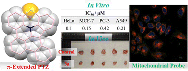 Graphical abstract: π-Extended phenothiazines with fused pentagons and hexagons