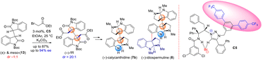 Graphical abstract: Organo-cation-catalyzed site-selective sequential alkylation of dimeric 2-oxindoles: a concise catalytic approach to (+)-calycanthidine and (+)-idiospermuline