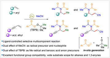 Graphical abstract: Ligand-controlled copper-catalyzed carboamination reactions of styrenes and 1,3-enynes to access diverse imides
