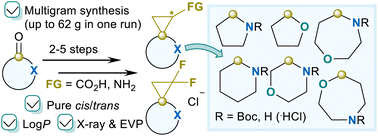Graphical abstract: Multigram synthesis and physicochemical evaluation of (oxa)azaspiro[2.n]alkane building blocks