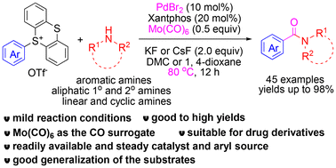Graphical abstract: Palladium-catalysed aminocarbonylation of aryl thianthrenium salts to aryl carboxamides using Mo(CO)6 as a CO source