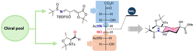 Graphical abstract: Convergent and stereoselective synthesis of nonulosonic acid (NulO) scaffolds via imine/aldehyde reductive coupling