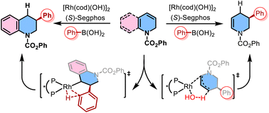 Graphical abstract: Substrate-controlled mechanistic switch between protodemetalation and oxidative addition in Rh-catalyzed carbometalation: a DFT study