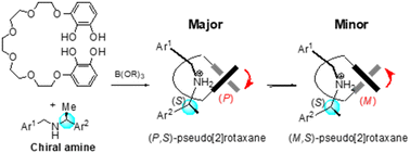 Graphical abstract: Synthesis of chiral rotaxanes: controlling the molecular chirality of bis-catechol spiroborate through threading