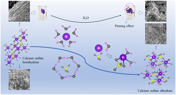 Graphical abstract: A calcium sulfate hemihydrate self-setting interface reinforced polycaprolactone porous composite scaffold