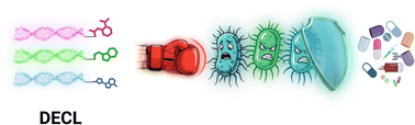 Graphical abstract: The power of DNA-encoded chemical libraries in the battle against drug-resistant bacteria