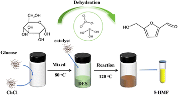 Graphical abstract: Efficient 5-hydroxymethylfurfural production in ChCl-based deep eutectic solvents using boric acid and metal chlorides