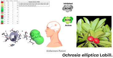 Graphical abstract: Machine learning tools for the characterization of bioactive metabolites derived from different parts of Ochrosia elliptica Labill. for the management of Alzheimer's disease
