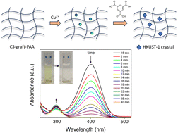 Graphical abstract: Catalytic reduction of nitrophenols and dyes by HKUST-1/hydrogel composite