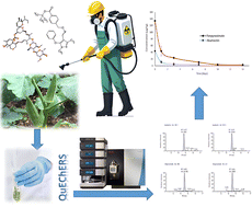 Graphical abstract: Residue determination and decline pattern of abamectin and fenpyroximate in okra fruits: a prelude to risk assessment