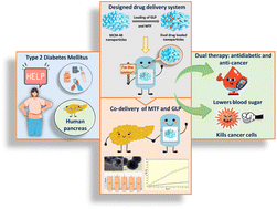 Graphical abstract: Enhancing diabetes therapy with pH-sensitive co-delivery of metformin hydrochloride and glipizide using MCM-48-based dual drug delivery system