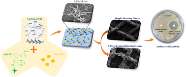 Graphical abstract: Development of Biginelli-based ZnO-coupled carbomer-gel-coated wound dressing gauze with enhanced antibacterial activity