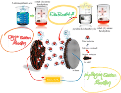 Graphical abstract: From design to efficiency: cobalt-based MOFs for efficient and stable electrocatalysis in hydrogen and oxygen evolution reactions