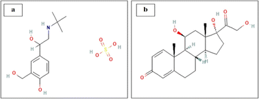 Graphical abstract: RP-HPLC method development and validation for the quantification of prednisolone and salbutamol with their simultaneous removal from water using modified clay–activated carbon adsorbents