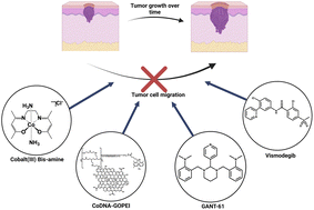 Graphical abstract: Gli pathway-targeted Co(iii) Schiff base complexes inhibit migration of basal cell carcinoma cells