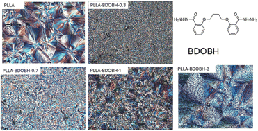 Graphical abstract: Morphology and thermal properties of poly(l-lactic acid) nucleated with 2,2′-(butane-1,4-diylbis(oxy))di(benzohydrazide)