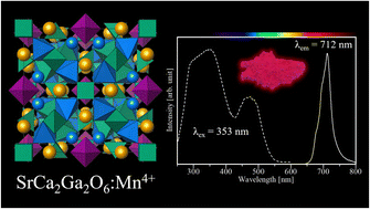 Graphical abstract: Novel efficient deep-red emitting phosphor SrCa2Ga2O6:Mn4+ with tululite-related structure