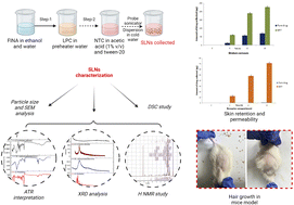 Graphical abstract: Novel delivery strategy: finasteride-loaded solid lipid nanoparticles for improved androgenetic alopecia therapy
