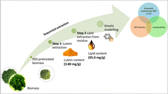 Graphical abstract: A sustainable and efficient method for sequential extraction of lutein and lipid from deep eutectic solvent pretreated Chlorella pyrenoidosa