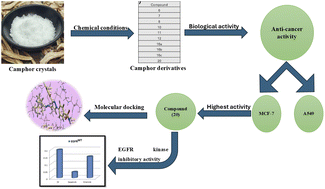 Graphical abstract: Semi-synthesis and biological activities of heterocyclic compounds containing camphor