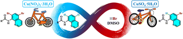 Graphical abstract: Copper-promoted oxidative mono- and di-bromination of 8-aminoquinoline amides with HBr and DMSO