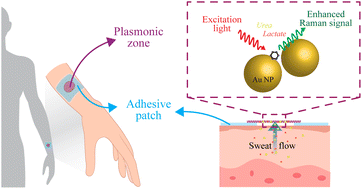 Graphical abstract: Plasmonic wearable adhesive patch for a SERS-based sweat sensor