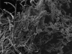 Graphical abstract: Morphological control of cuprate superconductors using sea sponges as templates