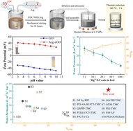 Graphical abstract: Efficient separation of Mg2+/Li+ using reduced GO membranes modified by positively charged arginine