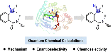 Graphical abstract: Cluster model study of the mechanism and origins of enantio- and chemoselectivity in non-heme iron enzyme-catalyzed C–H azidation
