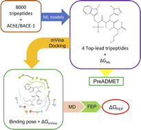 Graphical abstract: Tripeptides inhibit dual targets AChE and BACE-1: a computational study